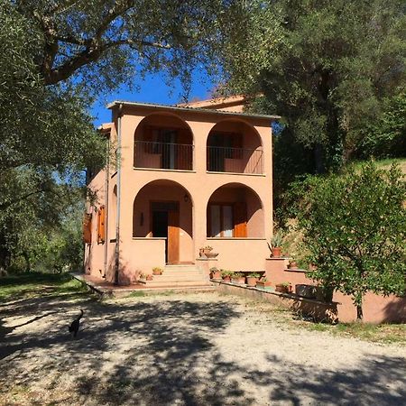 Argentella House Villa Palombara Sabina Kültér fotó