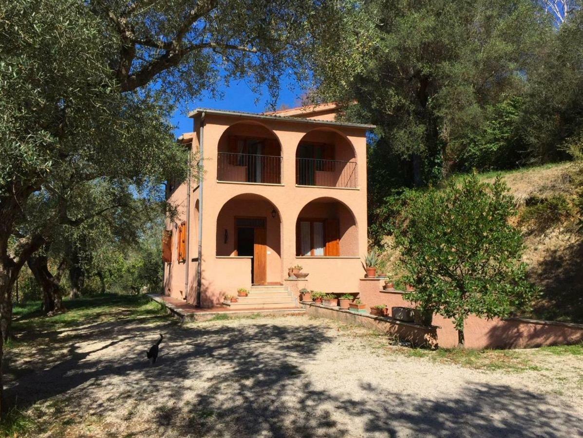Argentella House Villa Palombara Sabina Kültér fotó