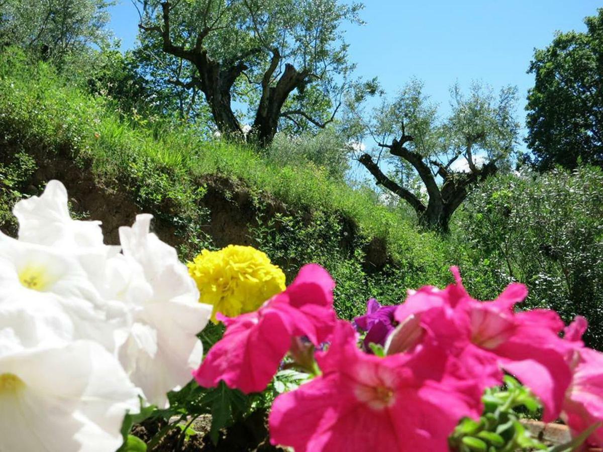 Argentella House Villa Palombara Sabina Kültér fotó