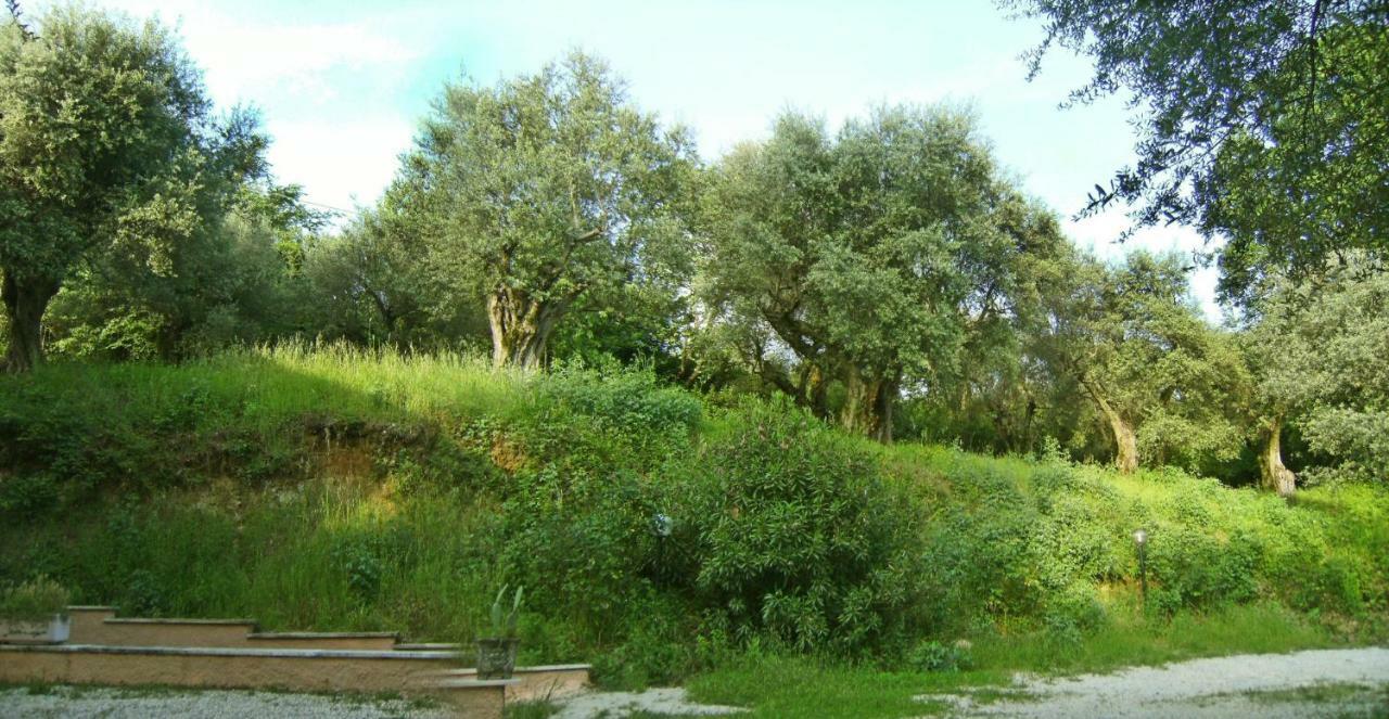 Argentella House Villa Palombara Sabina Kültér fotó
